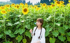 抽插我的奶头舔我爽硬水一起